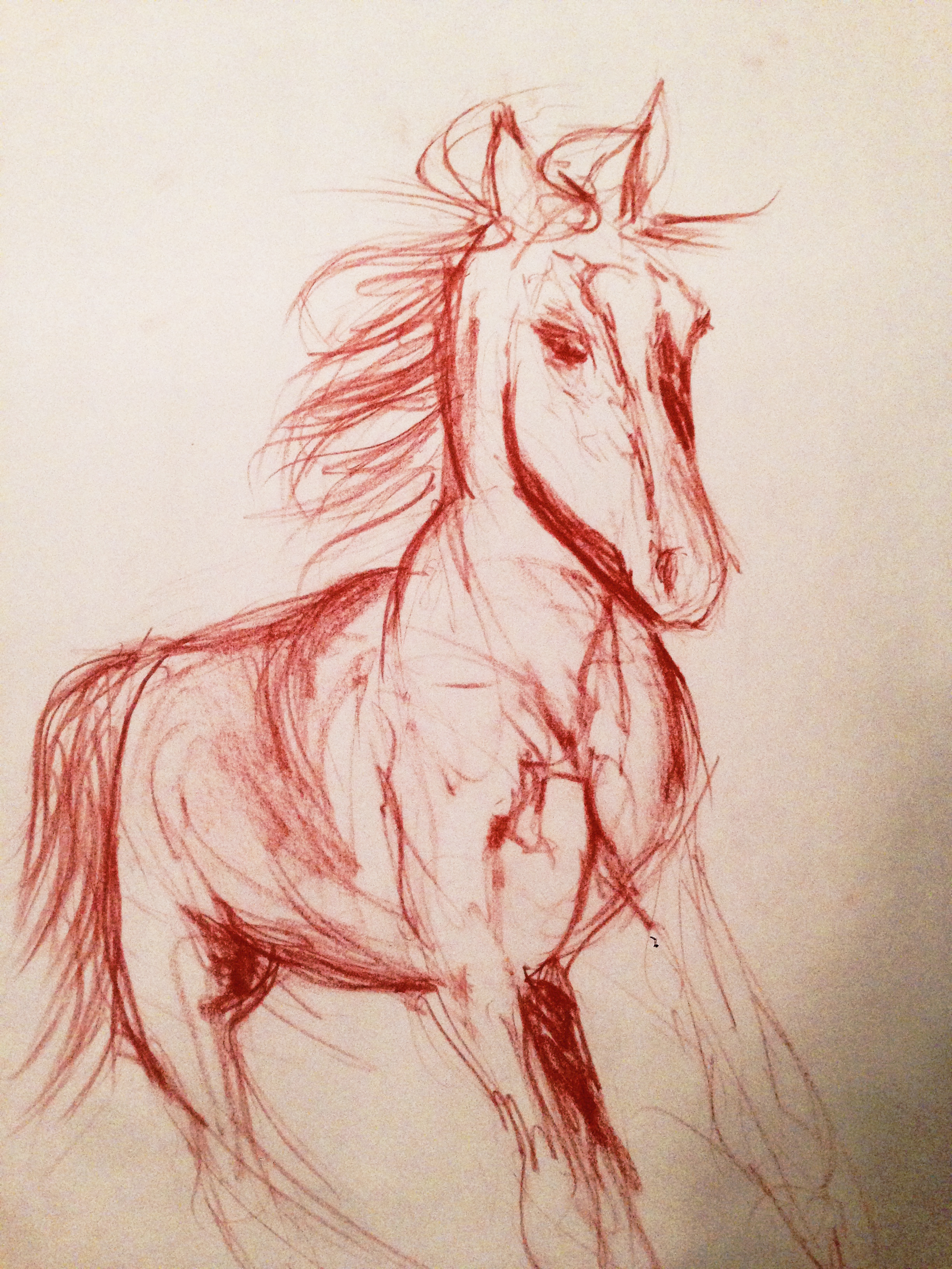 Sketch by Nicholas Chong-Gonzalez